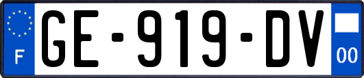 GE-919-DV