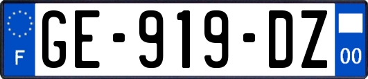 GE-919-DZ