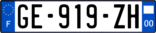 GE-919-ZH