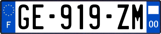 GE-919-ZM