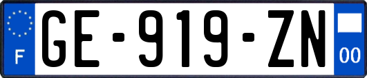 GE-919-ZN