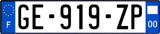 GE-919-ZP