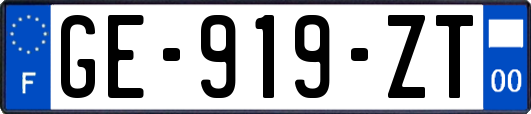 GE-919-ZT