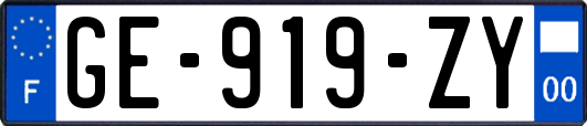 GE-919-ZY