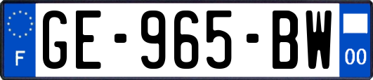 GE-965-BW