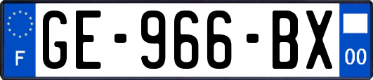 GE-966-BX