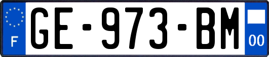 GE-973-BM