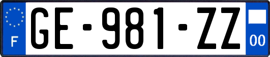GE-981-ZZ