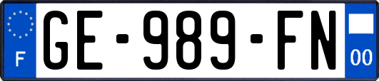 GE-989-FN