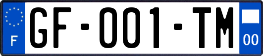 GF-001-TM