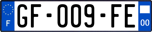 GF-009-FE