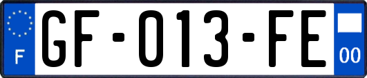 GF-013-FE
