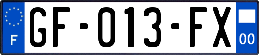 GF-013-FX