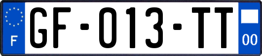 GF-013-TT