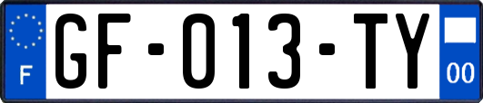 GF-013-TY