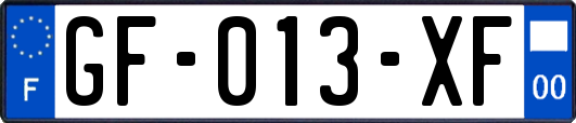 GF-013-XF