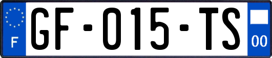 GF-015-TS
