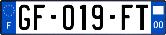 GF-019-FT