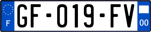 GF-019-FV