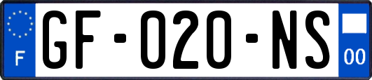 GF-020-NS