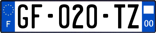 GF-020-TZ