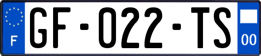 GF-022-TS