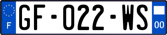 GF-022-WS