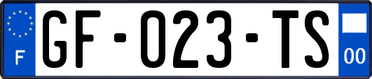 GF-023-TS