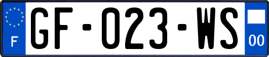 GF-023-WS
