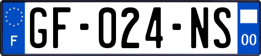 GF-024-NS