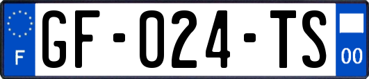 GF-024-TS