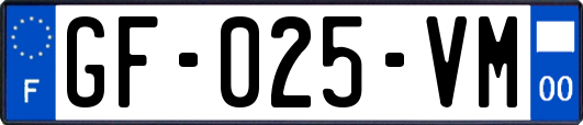 GF-025-VM