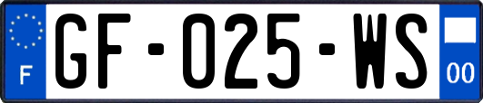 GF-025-WS