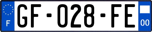 GF-028-FE