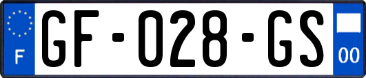 GF-028-GS