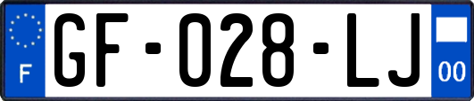 GF-028-LJ