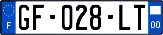 GF-028-LT