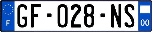 GF-028-NS