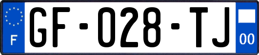 GF-028-TJ