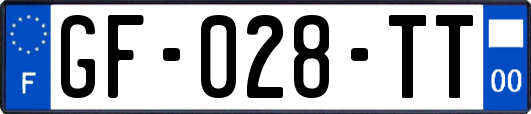 GF-028-TT