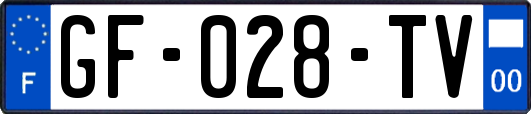 GF-028-TV