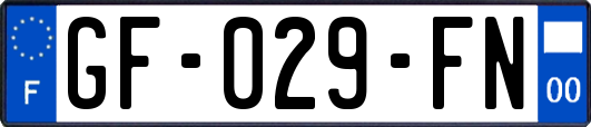 GF-029-FN