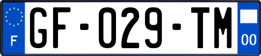 GF-029-TM
