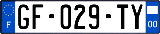 GF-029-TY