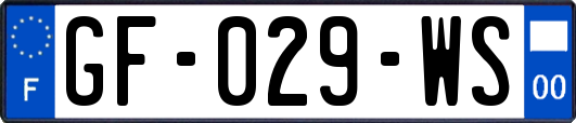 GF-029-WS