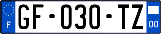 GF-030-TZ