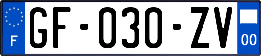 GF-030-ZV