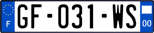 GF-031-WS