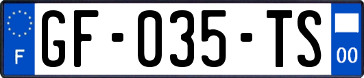 GF-035-TS