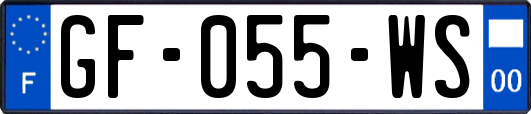 GF-055-WS